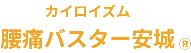 カイロイズム 腰痛バスター安城